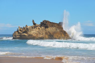 Vahşi plaj ve taşlara Cape of good hope - Güney Afrika