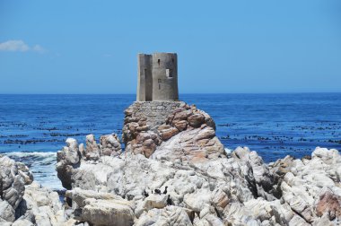 Harabe vahşi plaj ve Betty'nin bay - Hermanus - Güney Afrika kayalarda