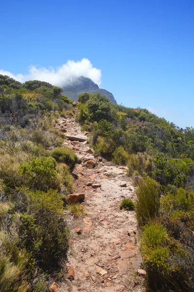 Vahşi cliff ve taşlara Cape of good hope - Güney Afrika — Stok fotoğraf