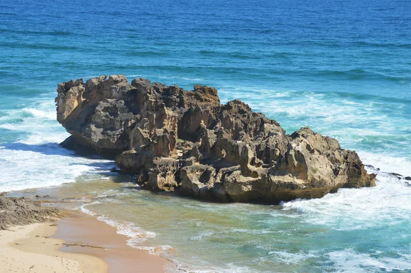 Vahşi plaj ve taşlara Cape of good hope - Güney Afrika — Stok fotoğraf