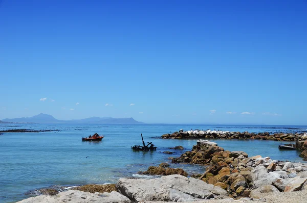 Uccelli sulla spiaggia selvaggia e rocce nella baia di Betty - Hermanus - Sudafrica — Foto Stock