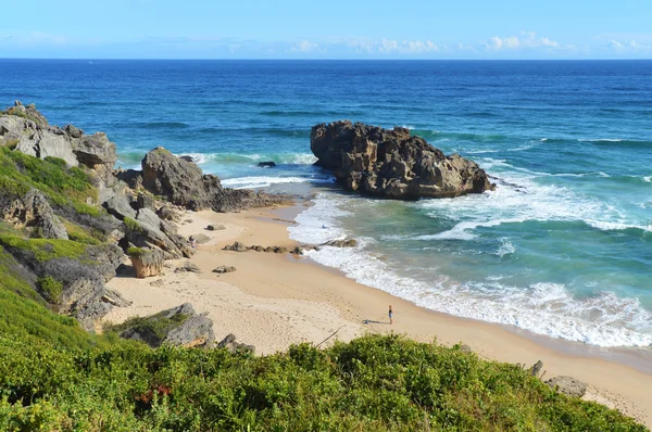 De wrede strand en rotsen bij Kaap de goede hoop - Zuid-Afrika — Stockfoto