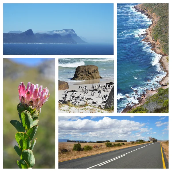 Capo di buona speranza collage - Sud Africa — Foto Stock