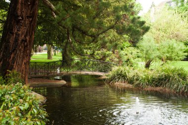 Bahçe küçük göl ve köprü ile