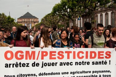 Strazburg - Fransa - 23 Mayıs 2015 - Monsanto ve Transatlantik Karşı Gösteri sırasında afiş ile insanlar Avrupa'da GDO üretimi için tedavi -