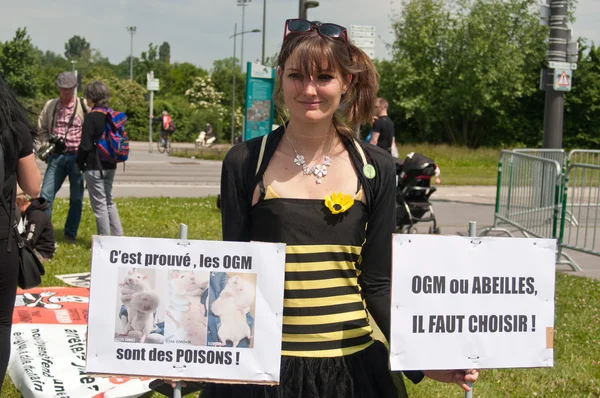 СТРАСБУРГ - Франция - 23 мая 2015 года - женщина, замаскированная под пчелу со знаменем во время демонстрации против Монсанто и трансатлантического лечения для производства ГМО в Европе  - — стоковое фото