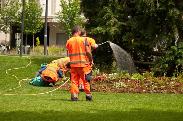 Gardeners watering in public garden — Stock Photo, Image