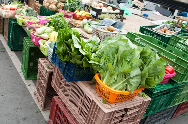 Salat und verschiedene Gemüsesorten auf dem Marktplatz — Stockfoto