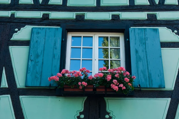 Primer plano ventana azul en Colmar con flores —  Fotos de Stock