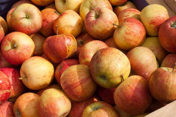 Apples in market — Stock Photo, Image