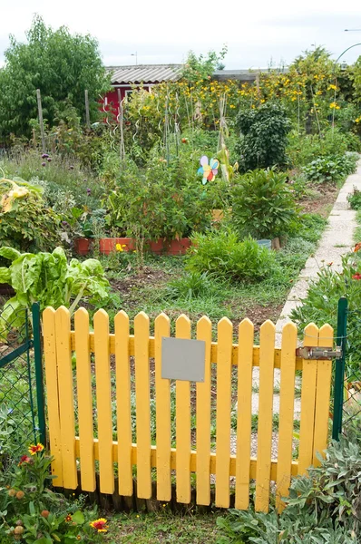 Vegetable garden with little wooden yellow door — Stock Photo, Image
