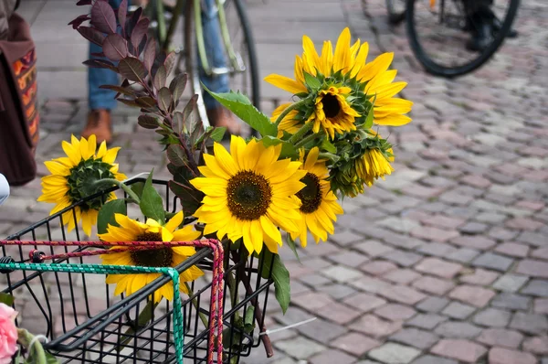 Decoratieve zonnebloemen in mand op fiets — Stockfoto