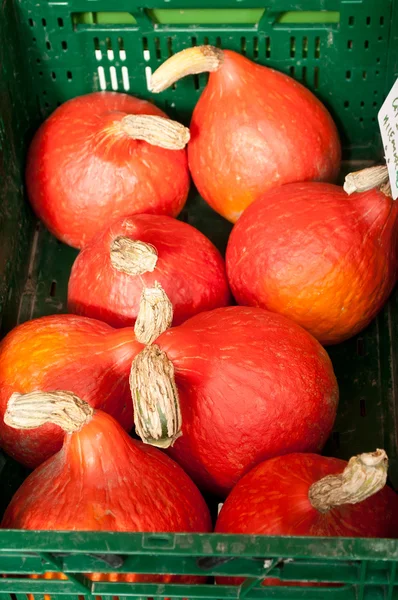 Red pumpkins in the market — Stock fotografie