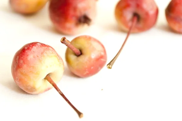 Mini savage apples on white background — Stock Photo, Image