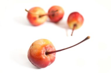 Beyaz arka plan üzerinde mini vahşi elma