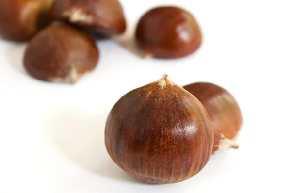 Closeup groep van kastanjes op witte achtergrond — Stockfoto