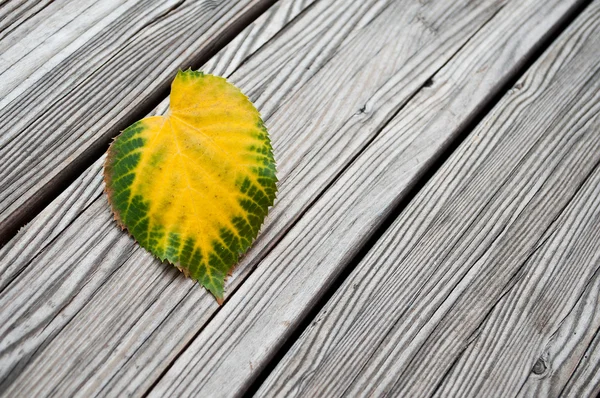 Closeup of heart shaped autumnal leaf on wooden background — Stock Photo, Image