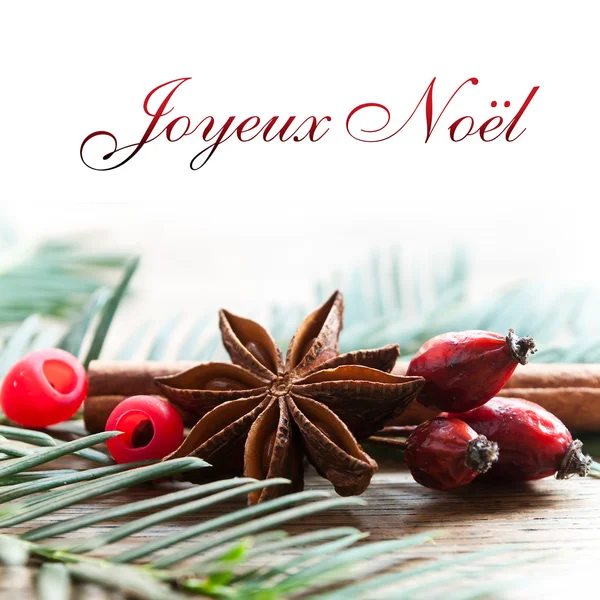 God jul kort med dekorativa anis kanel och hund steg (text på franska) — Stockfoto
