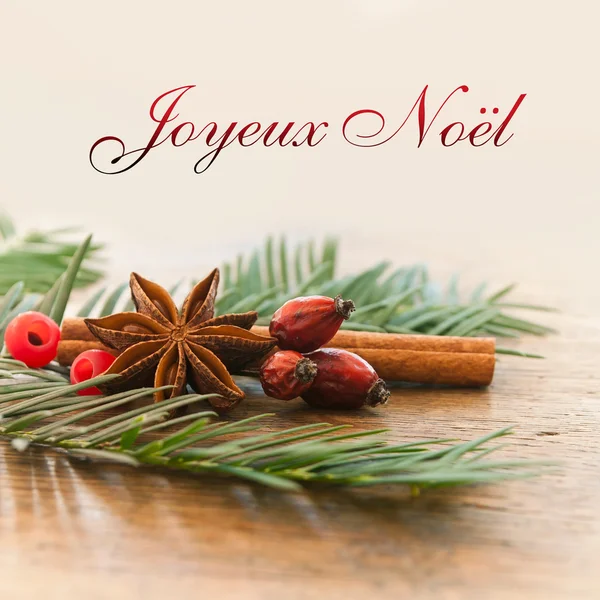 God jul kort med dekorativa anis kanel och hund steg (text på franska) — Stockfoto
