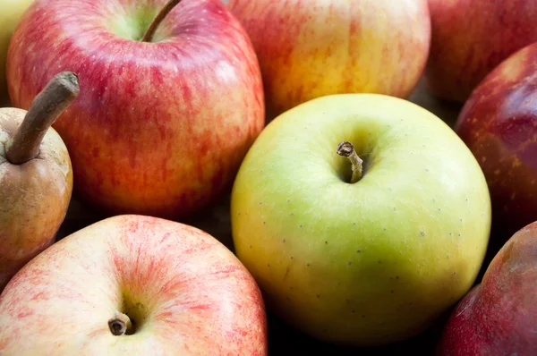 Closeup of various  apples background — Stock Photo, Image