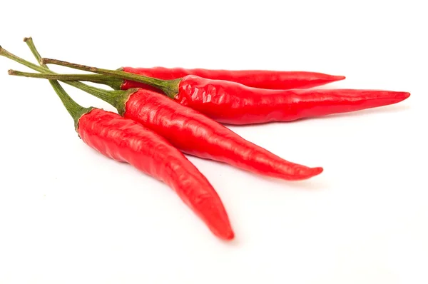 Kelompok paprika merah panas pada latar belakang putih — Stok Foto