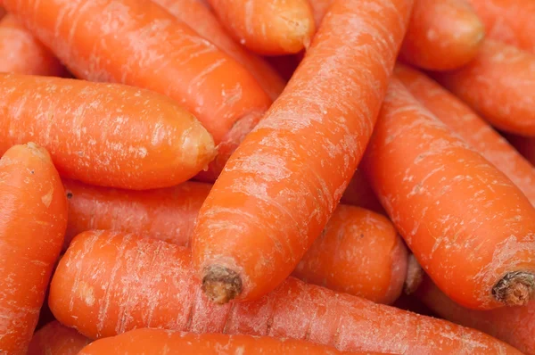 Closeup of carrots texture — Stock Photo, Image