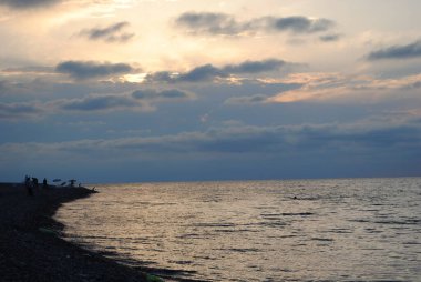 Bir grup mutlu genç plajda güzel bir yaz günbatımında