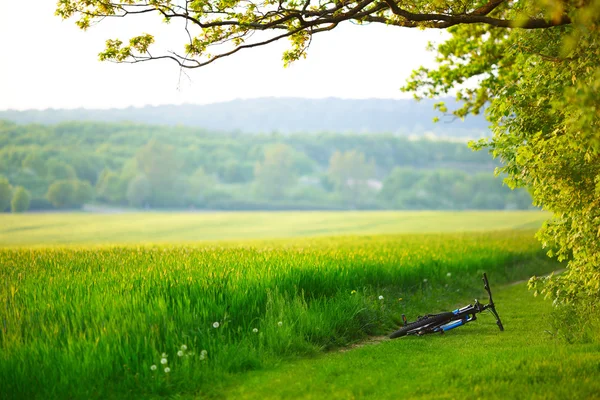 Mountain bike laying near the field or meadow. — Stock Photo, Image