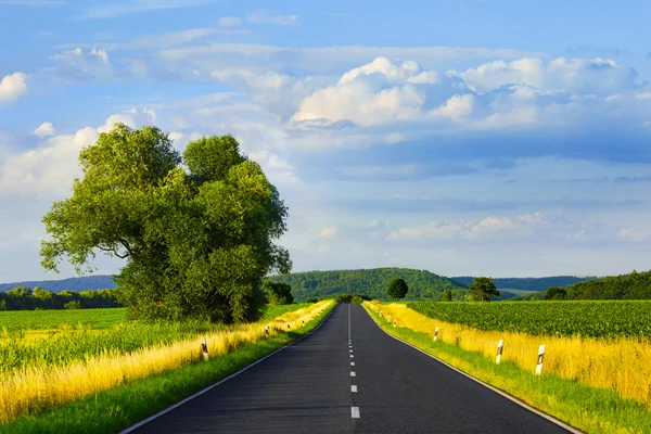 Strada asfaltata in giorno d'estate — Foto Stock