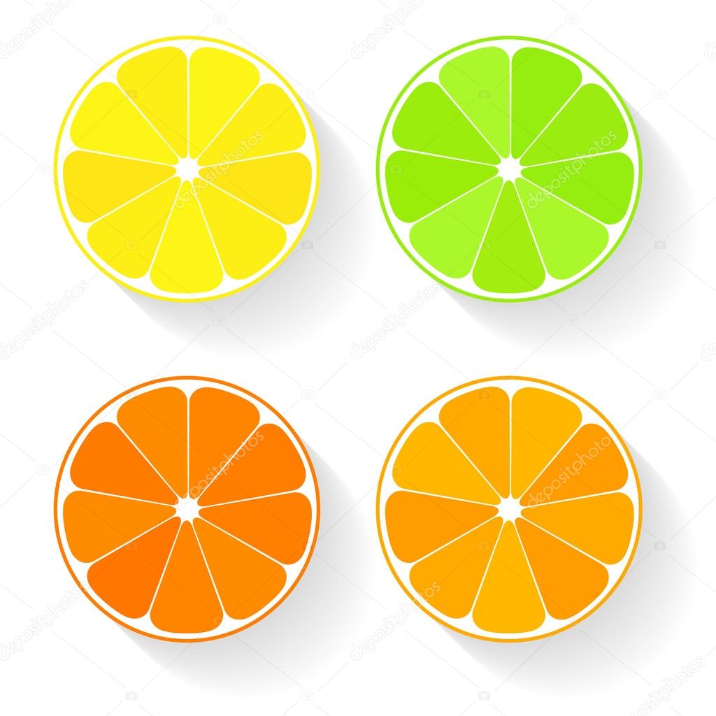 Collection of four citrus fruits icons in flat style