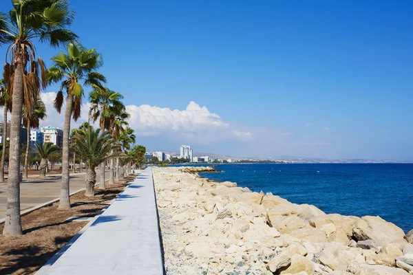 Прогулянкова дорога попереду біля морської пляжної набережної з пальмами . — стокове фото