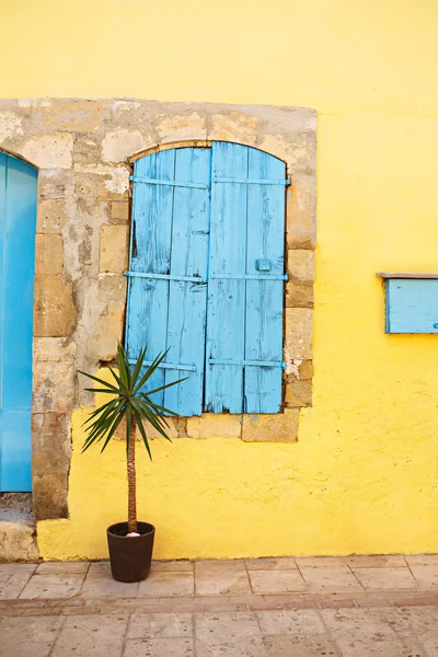 Schöne alte Fenster mit Pflanzen dekoriert — Stockfoto