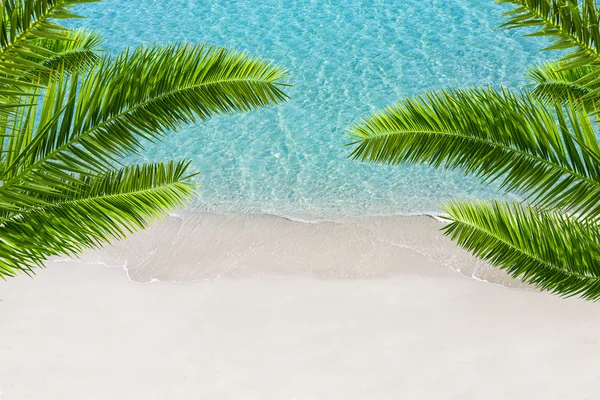 Bílý písek pláží a tropické moře s Palmou. Resort pozadí. — Stock fotografie