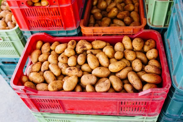 Harvested raw potatoes in a plastic boxes at a market — Stock Photo, Image