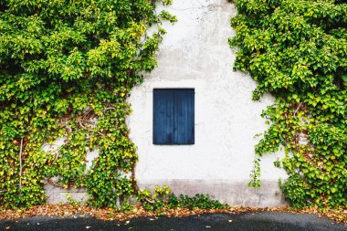 pencere kapalı ahşap kepenkleri ile