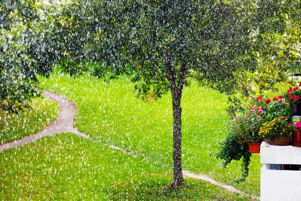 Gocce di pioggia con una luce del sole in giardino . — Foto Stock