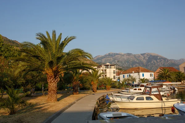 Boats and yachts in the harbor, beautiful summer landscape. Tivat marina, Montenegro. — Stock Photo, Image