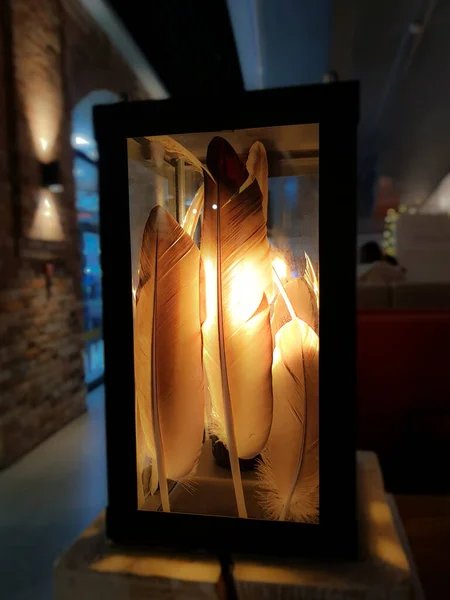 Dekorációs Lámpa Tollal Üvegdobozban — Stock Fotó