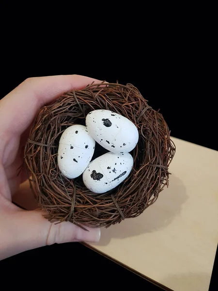 Eggs Nest Branches Black Isolated Background — Stock Photo, Image