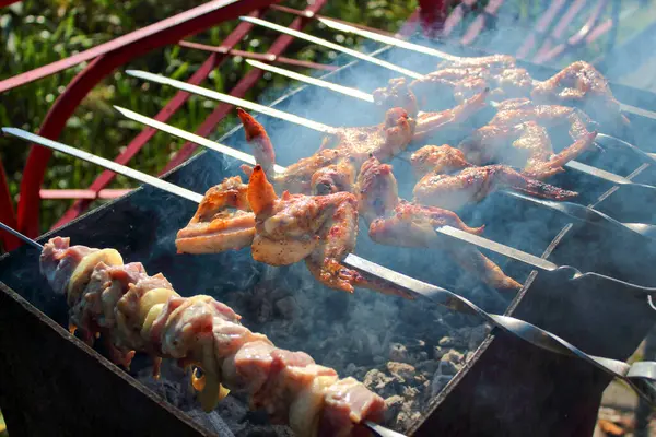 Asar Jugoso Shish Kebab Parrilla Naturaleza — Foto de Stock