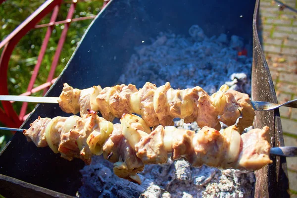 Parrilla Shish Kebab Cerdo Fríe Brochetas Kebab Cerdo Cerca — Foto de Stock