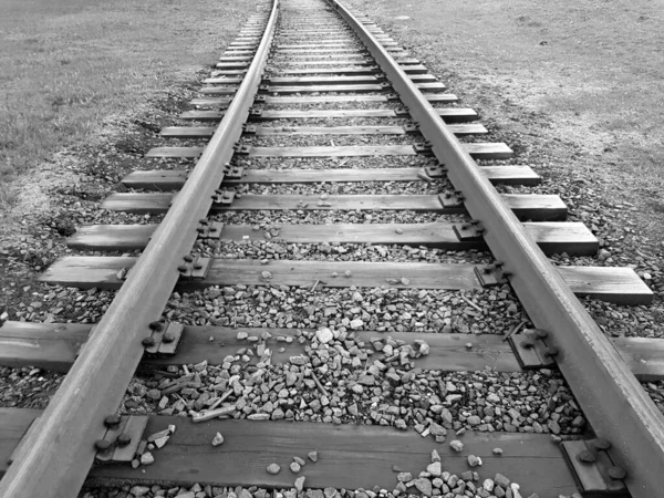 Railway tracks. Cargo and passenger transportation, business and communications, industry. Black and white photo