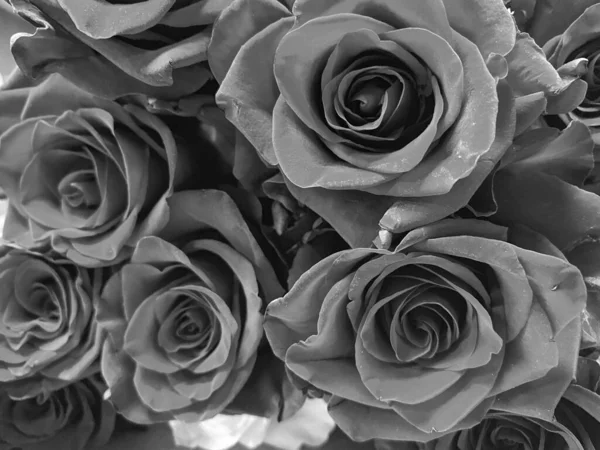 Siyah-beyaz gül buketi. Siyah beyaz fotoğraf