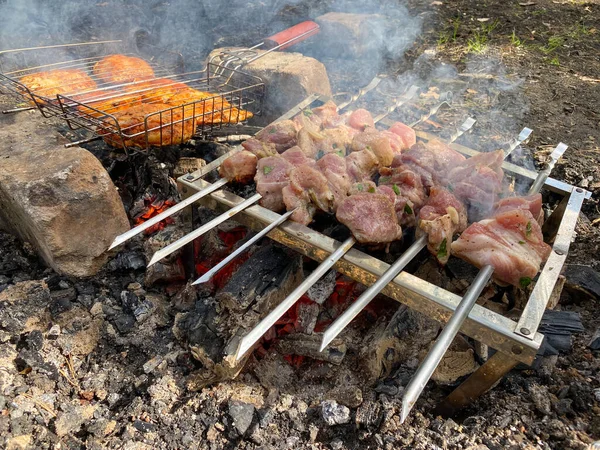 Roasts Pork Shish Kebab Chicken Shish Kebab Nature Roasting Pork — Stock Photo, Image