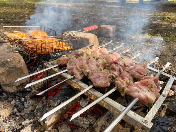 Piecze Szaszłyk Wieprzowy Kebab Kurczaka Naturze Pieczenie Szaszłyków Wieprzowych Szaszłykach — Zdjęcie stockowe