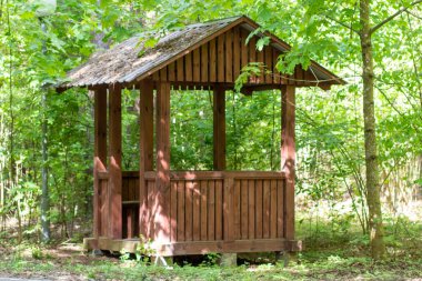 Ormanda dinlenmek için ahşap bir çardak duruyor.