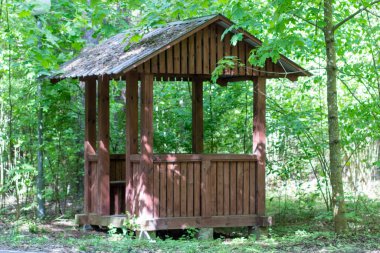 Ormanda dinlenmek için ahşap bir çardak duruyor.