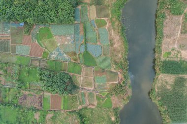 Vietnam 'da Kızıl Nehir Deltası' ndaki Hanoi tarlaları Hava Aracı görüntüsü
