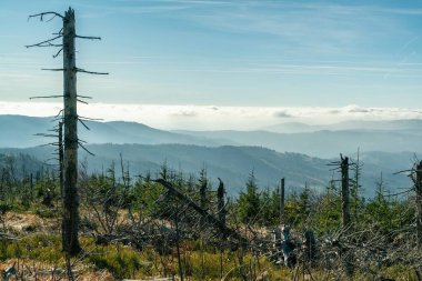Szczyrk 'teki Silesia Beskid' deki Polonya dağları. Polonya 'da sonbaharda Skrzyczne tepesi, sonbahar mevsimi hava aracı görüntüsü