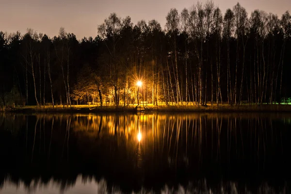 Parque Noturno Céu Noturno Com Estrelas Parque Lago Cidade Com — Fotografia de Stock